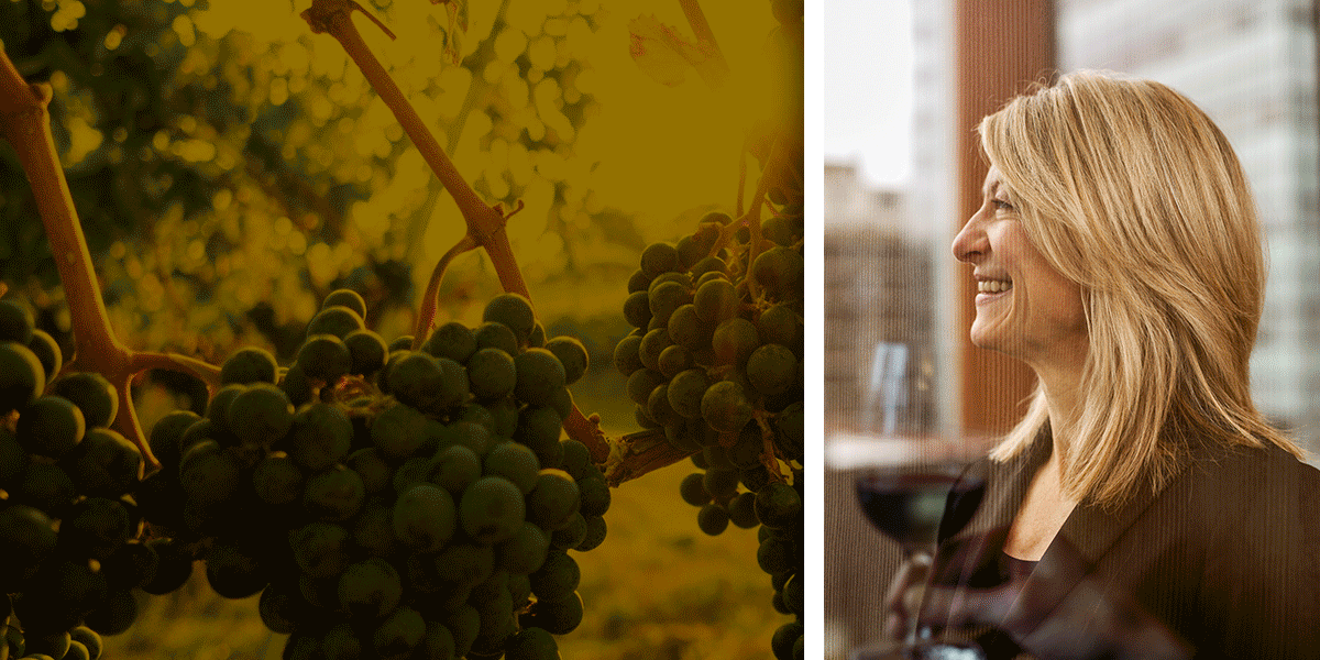 Wine experts