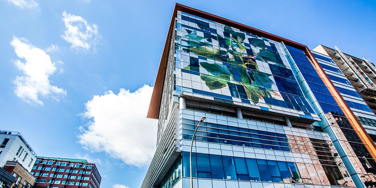 Faculty of Fine Arts